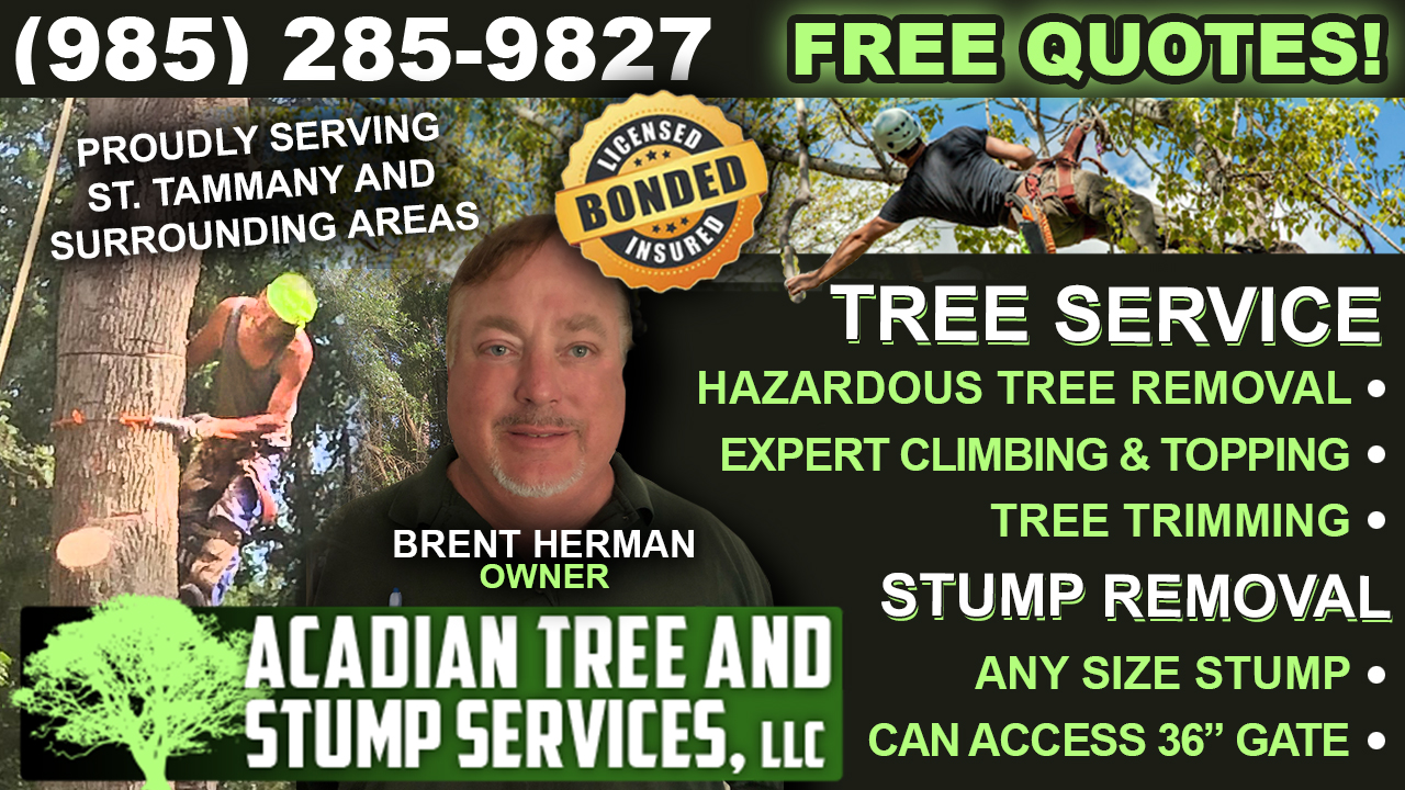 Acadian Tree & Stump